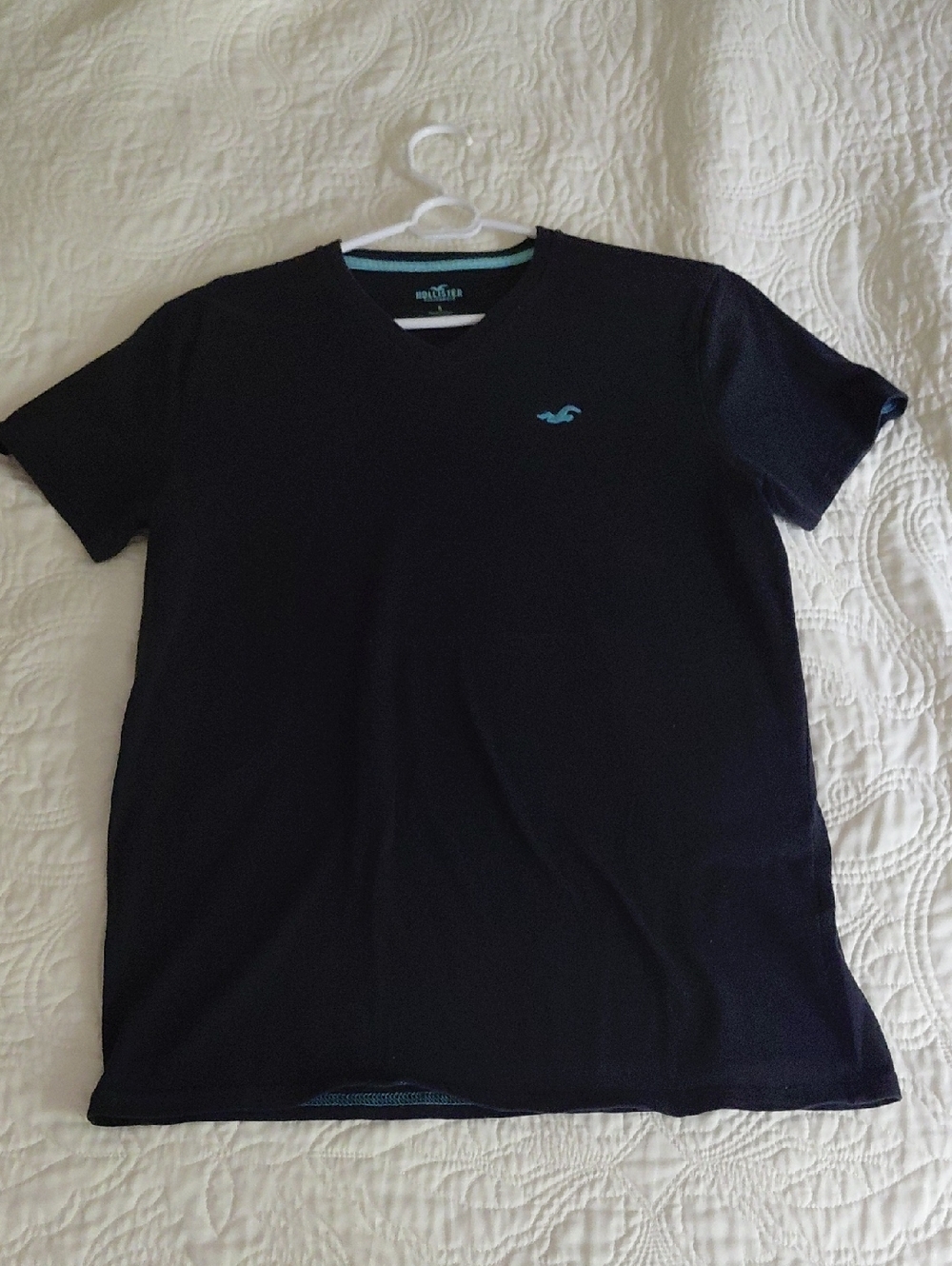 Hollister Men’s Black V-Neck Tee with Aqua Logo